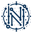 Nexus Data Solutions Logo